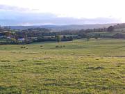 Top Los Muermos Top Los Muermos