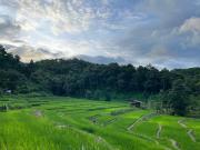 Chibacall ชิบะคอล Karen Mountains Hideaway Homestay