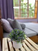 Na Tuệ An-Homestay Số 3 Hoàng Văn Thái