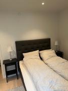 Urban resident by the ferry