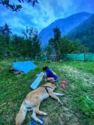 Top Kasol
