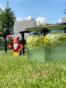 Top Porumbacu de Sus