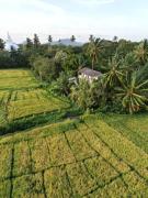 Viveka Inn Guest and Yala Safari