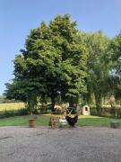 Top Saint-Rambert-sur-Loire