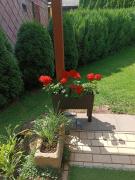 Top Červený Kostelec