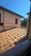 Top Siena