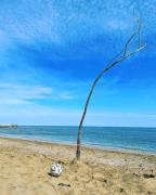 Apartment with Pool in Cavalino Jesolo