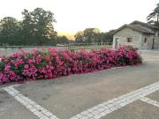 La ferme des Soudanières