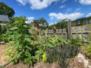 Top Skorzewo Top Skorzewo