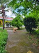 Top San José del Sur