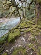 Top Parksville