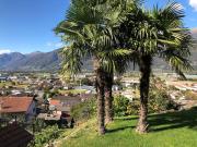 Top Sant Antonino (S. Antonino)