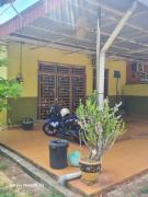 Top Penaga