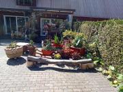 Auszeit-Schoenenwalde