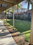 Holiday Fun on Ponderosa