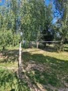 Top Święta Katarzyna