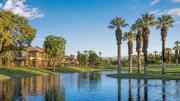 Top Palm Desert