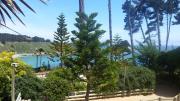 Top Algarrobo