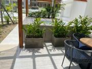 Top Cartagena de Indias