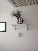 Top Buenos Aires