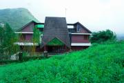 Top Vagamon