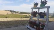 Top Senigallia