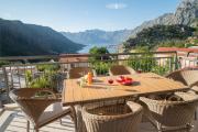 Top Kotor