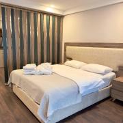 Deluxe Family Apartment 24A