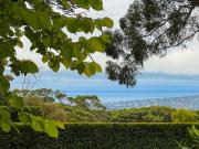 Top Red Hill