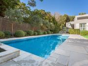 Point King Modern Masterpiece