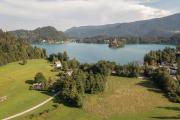 Top Bled