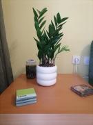 Top Thessaloniki Top Thessaloniki