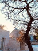 Top Cozzana Top Cozzana