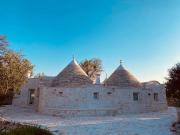 Top Cozzana Top Cozzana