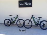 Top Romano D'Ezzelino