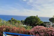 Top Scalea