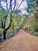 Top Santa Cruz do Sul