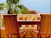 Aloe Vera by Sun & Sea Homes