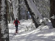 Top Junín de los Andes