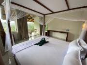 Rainforest Mount Lodge