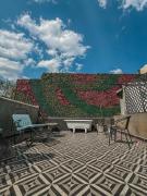 Condesa Haus Rentals