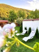 Top Galeş Top Galeş