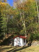 Top Shandaken