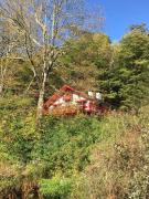 Top Shandaken
