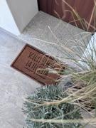 Top San Lorenzo Top San Lorenzo