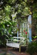 The Fern Cove Villa - Colombo