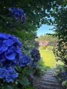 Top Saint-Jouin-Bruneval