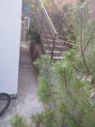 Top Peani
