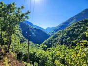 Nepoka in Machakhela