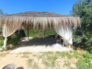 location villa avec piscine a chott meriem